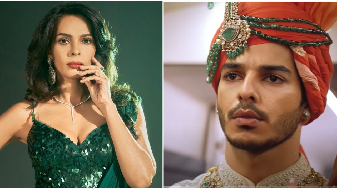 image source: https://www.pinkvilla.com/entertainment/news/mallika-sherawat-reveals-her-role-in-ishaan-khatters-the-royals-looked-very-lame-to-her-as-she-reflects-on-turning-down-the-offer-1360082