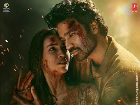 Tere Ishk Mein’s Advance Success: What’s Happening?