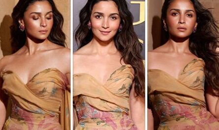 https://media5.bollywoodhungama.in/wp-content/uploads/2025/12/Alia-Bhatt-in-Elie-Saab-Gown.jpg