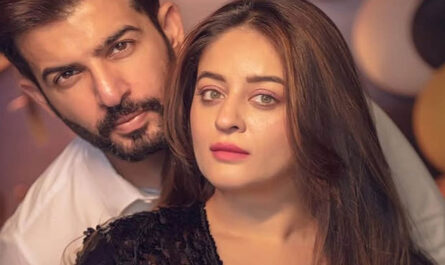 https://stat4.bollywoodhungama.in/wp-content/uploads/2026/01/Jay-Bhanushali-and-Mahhi-Vij-confirm-separation-after-weeks-620.jpg