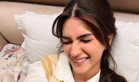https://media5.bollywoodhungama.in/wp-content/uploads/2026/01/Kriti-Sanon-on-Tere-Ishk-Mein-style.jpeg