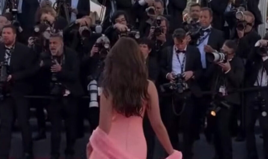Who Is She Waving At? Internet Explodes After Actress Appears “Ignored” on Cannes Red Carpet