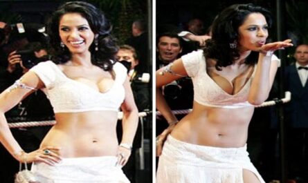 https://media5.bollywoodhungama.in/wp-content/uploads/2026/05/Mallika-Sherawat-recalls-Cannes-controversy-over-her-%E2%80%98dangerously-low-cut-blouse-620.jpeg