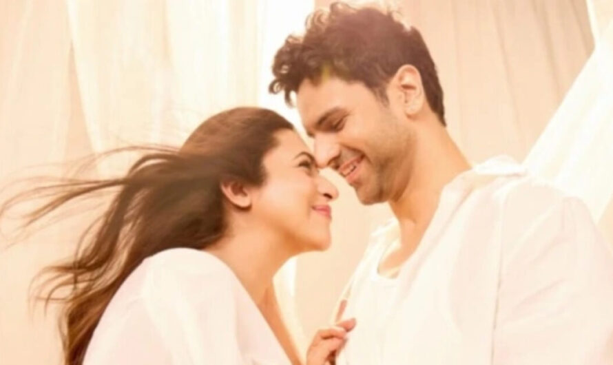 Divyanka Tripathi and Vivek Dahiya Welcome Twin Baby Boys: “Mere Karan Arjun Aa Gaye” Marks a Joyous New Chapter