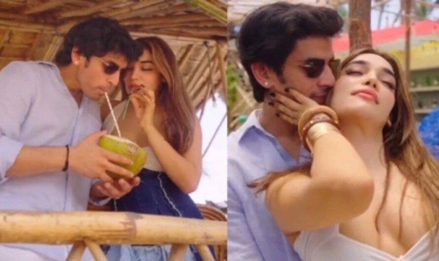 Have Gullu and Kaira Called It Quits? Splitsvilla 16 Winners Unfollowing Each Other Sparks Breakup Rumors