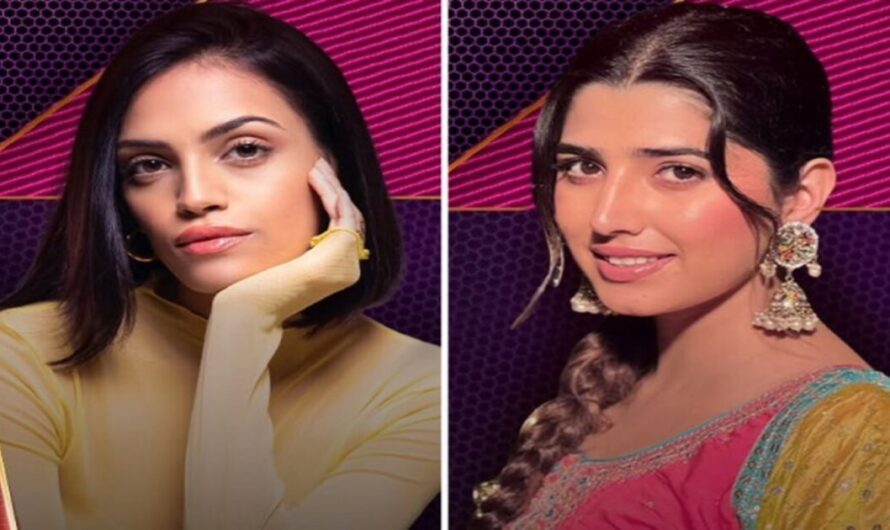 Bigg Boss 20: Rhiya Ahir, Who Went Viral During Mumbai Student Protest, Competes With Love Gill for Entry